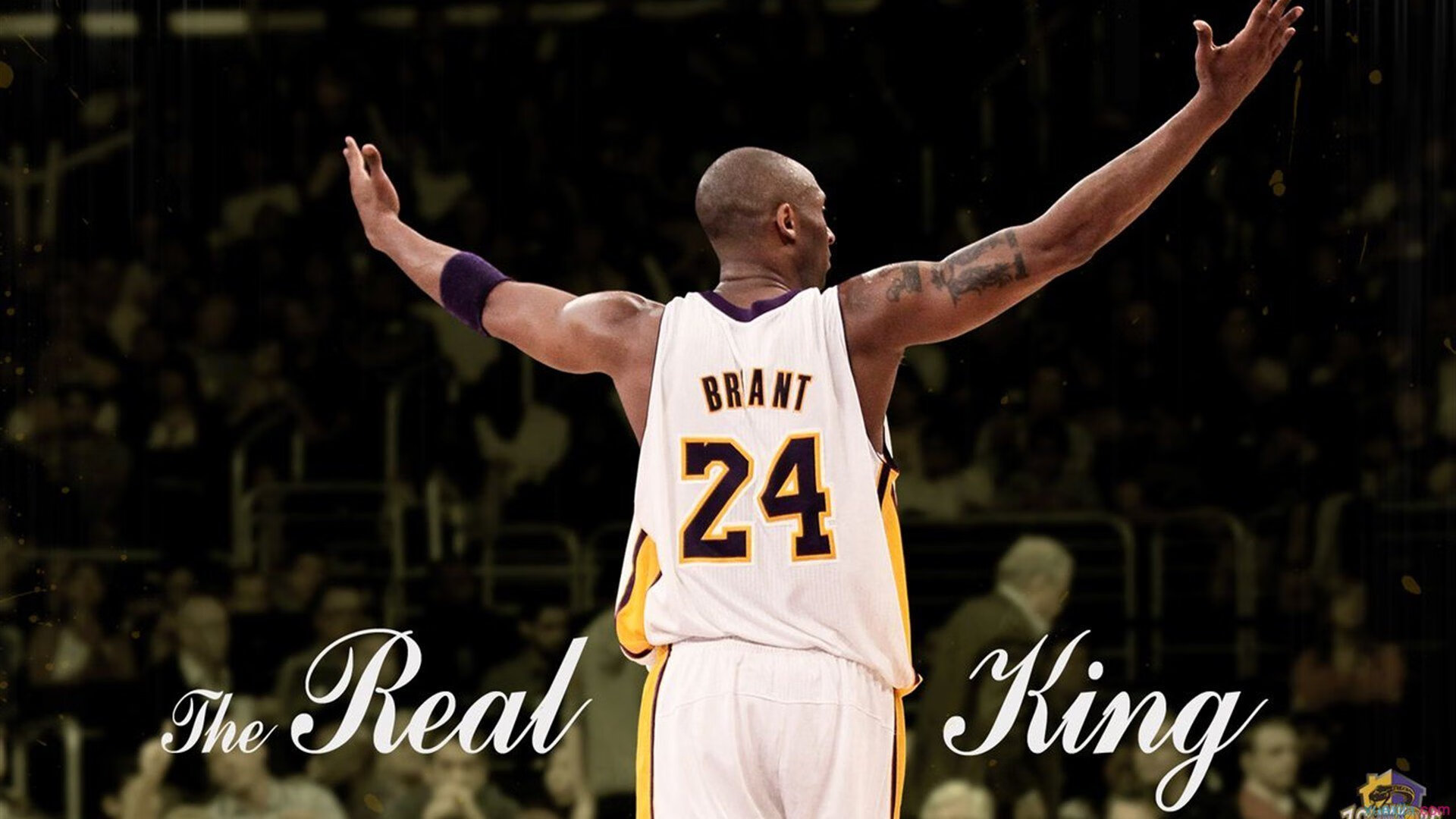 NBA最残暴暴扣，nba最暴力的扣将